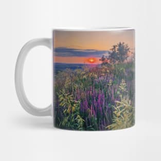 Summer sunset over meadow Mug